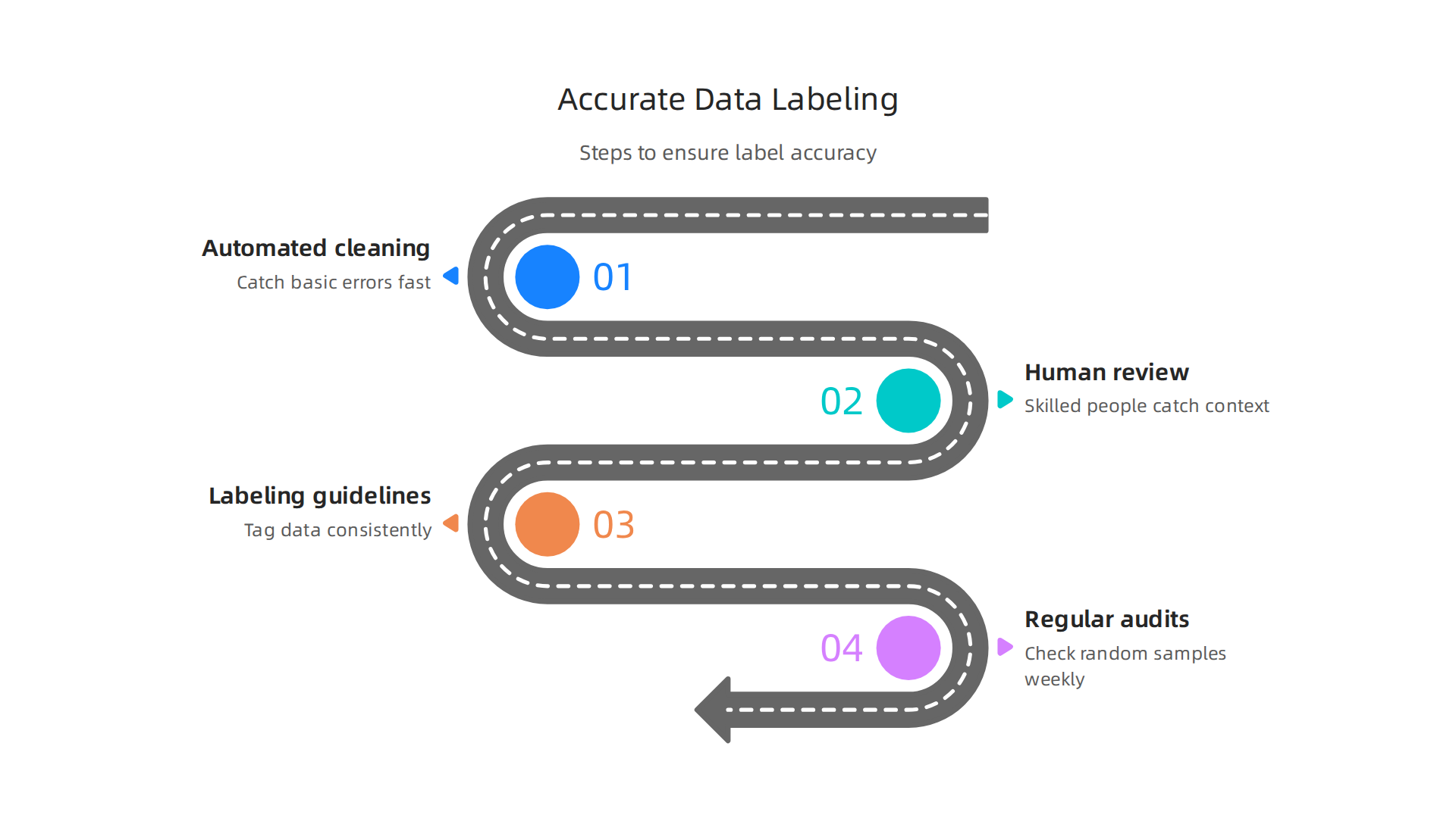 An infographic outlining the crucial steps for ensuring accuracy in data cleaning and labeling, emphasizing human oversight.
