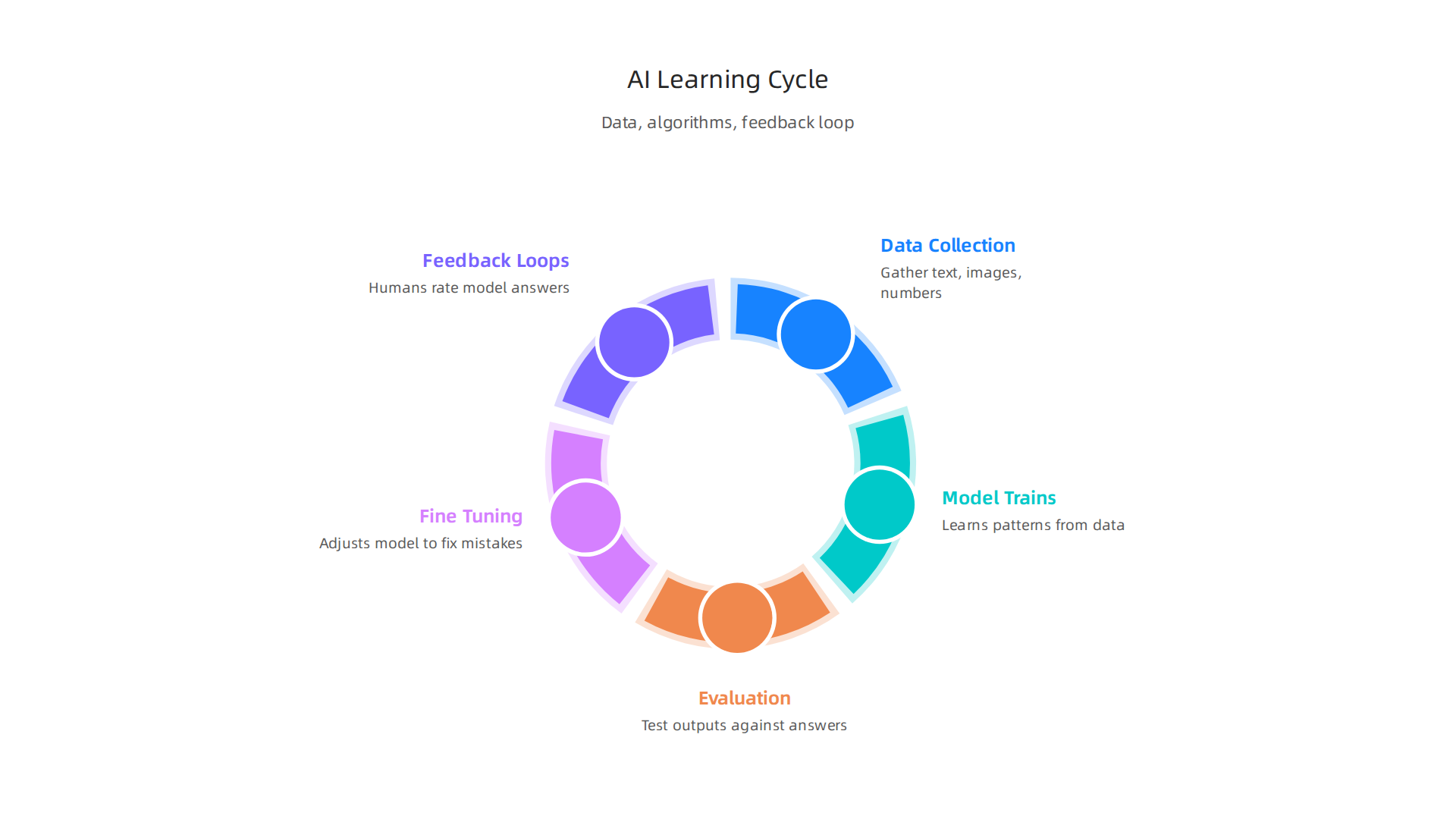 The continuous cycle of data, algorithms, and feedback that shapes an AI's learning process.